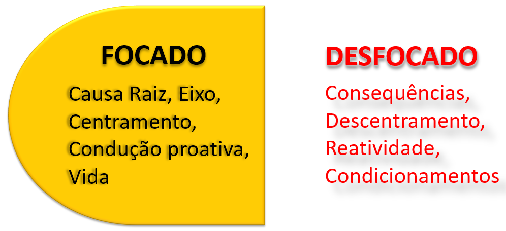 Infográfico ISOR® 12